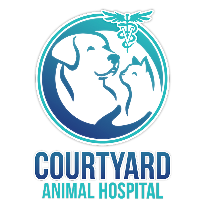 Best Veterinary Hospital In Wellington, FL | Courtyard