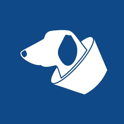 pet surgery icon